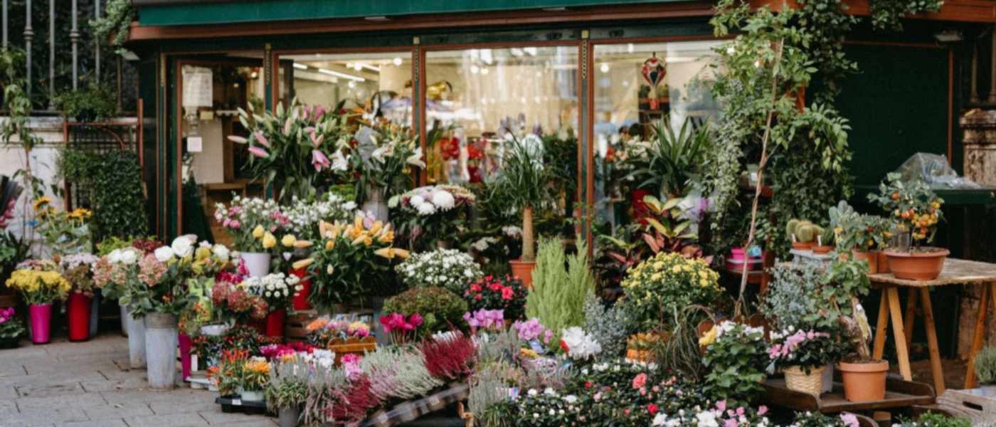 Devanture d’une boutique de fleuriste en plein jour, plantes et compositions colorées en pots sur le trottoir